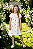 Vestido Infantil Manga Curta Abacaxi Off White Nanai - Imagem 1