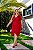 Vestido veneza vermelho g5 - Imagem 2