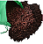 50 Minhocas Californianas - Fertilizantes Naturais para Seu Jardim - Imagem 1