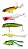 Kit 5 Isca Artificial Melhores Brava Rap Popper Whopper Frog Sortidas - Imagem 1