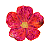 Jogo Americano em Formato Flor - Imagem 1