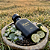 Hawk for Men - 50 ml - Imagem 3