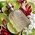 Coyote for Girl - 50 ml - Imagem 2