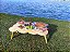 Mesa Nuvem - Imagem 4