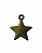 Pingente de Estrela - Imagem 3