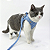 Peitoral para Gatos Xadrez Azul Tam.M - Imagem 1