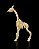 Esqueleto Girafa Articulado - Imagem 4