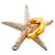 Cast Puzzle Metal - Starfish - Imagem 1