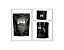 KIT HERBY MG - NUTRIÇÃO ESPORTIVA - Imagem 1