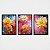 Quadro Decorativo Trio Florais - Imagem 8