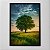 Quadro Decorativo Paisagens Naturais 02 - Imagem 13
