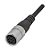 BCC00UA | Balluff | Cabo de Conexão M16 Fêmea Reto 8 Pinos 5 Metros PUR Preto - Imagem 1