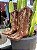 BOTA WESTERN VIMAR 10247 - Imagem 1