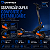 Patinete Elétrico Scooter Dampher 800w Dobrável G2PRO - Imagem 3