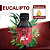 EUCALIPTO - ESSÊNCIA LIPOSOLÚVEL - PREMIUM E CONCENTRADA PARA VELAS, SABONETES E COSMÉTICOS ARTESANAIS - Imagem 1