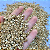 VERMICULITA EXPANDIDA PACOTE 1 LITRO - Imagem 4