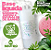 SABONETE LÍQUIDO GLICERINADO V&G VEGANO 100% NATURAL 1 LITRO TRANSPARENTE - Imagem 1