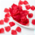 PÉTALAS DECORATIVAS DE ROSAS VERMELHAS 15G - Imagem 1