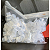 Batoque Transparente T.T.S com Base - Pacote - Imagem 2