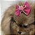 Laço de Tule Rosa Pink com Glitter para Pets - Imagem 12