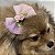 Laço Para Pets De Tule Rosa com Glitter Degradê - Imagem 11