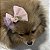 Laço Para Pets De Tule Rosa com Glitter Degradê - Imagem 15