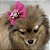 Laço para Pets Pink com Rosinhas - Imagem 9