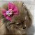 Laço para Pets Pink com Rosinhas - Imagem 11