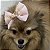 Laço Para Pets Rosa com Dourado - Imagem 6
