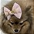 Laço Para Pets Rosa com Dourado - Imagem 11
