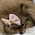 Laço Para Pets Rosa com Dourado - Imagem 12