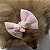 Laço Rosa com Rendinha e Dourado para Pets - Imagem 11