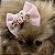 Laço Rosa com Rendinha e Dourado para Pets - Imagem 10