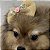 Laço de Tule Dourado para Pets - Imagem 7