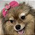 Laço De Tule Rosa Choque para Pets - Imagem 12
