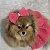 Vestido Country Style para Pets com Laço - Imagem 2