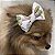 Vestido para Cães Estampado Estilo Princesa + Laço de Brinde - Imagem 9