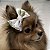 Vestido para Cães Estampado Estilo Princesa + Laço de Brinde - Imagem 8