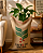 Saco De Café Do Brasil Para Decoração Sem Fiapo Juta - Imagem 5