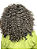 Wig Mel - 250g de Cabelo Natural com Pentinhos Internos - 40cm - Imagem 4