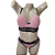 Conjunto Feminino Lingerie Sexy FRETE GRATIS Langerie Sutiã Sutian Sensual Calc - Imagem 1