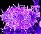 Pisca de Natal 100 Leds Violeta 8 Funções 10 Metros fio transparente 127V. - Imagem 2