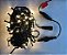Pisca de Natal 100 Leds Branco Quente 8 Funções fio verde conector macho e fêmea 10 Metros 220V. - Imagem 1
