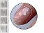 KIT DECORAÇÃO PRATA - Imagem 1