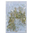 PEDRA STRASS FURTA COR - Imagem 2