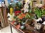 Varanda Floricultura - Imagem 2