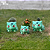 Vaso de plantas Suculentas - Pokémon Bulbassauro - Tamanhos P, M e G - Imagem 5