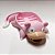 Saboneteira Pokémon Slowpoke Cascata - Suporte Sabonete Banheiro e Cozinha Impressão 3D Envio Rápido - Imagem 1