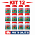 Kit 12 Extrato Dragoeiro Concentrado | Frete Grátis - Imagem 1