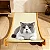 Cama arranhador para gatos - Imagem 8